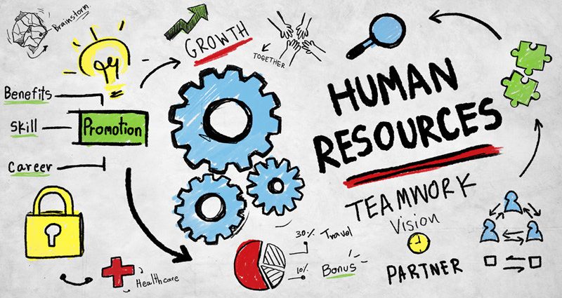 Essential Skills for Human Resources Professionals in Singapore